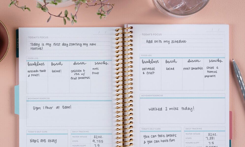 Erin Condren Guided Journals Everything You Need to Know - self care journal wellness journal